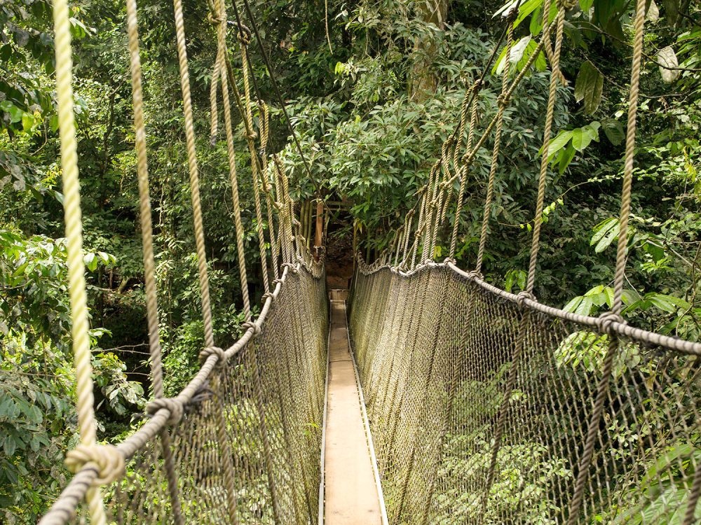 Kakum National Park_Central Region
